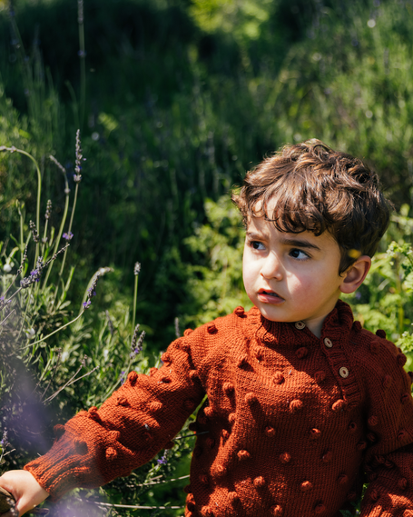 Joyful Pops Collection