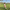 Child on a swing in a grassy field with flowers