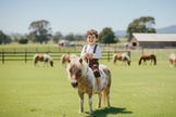 Child riding a pony in an open field with other horses in the background